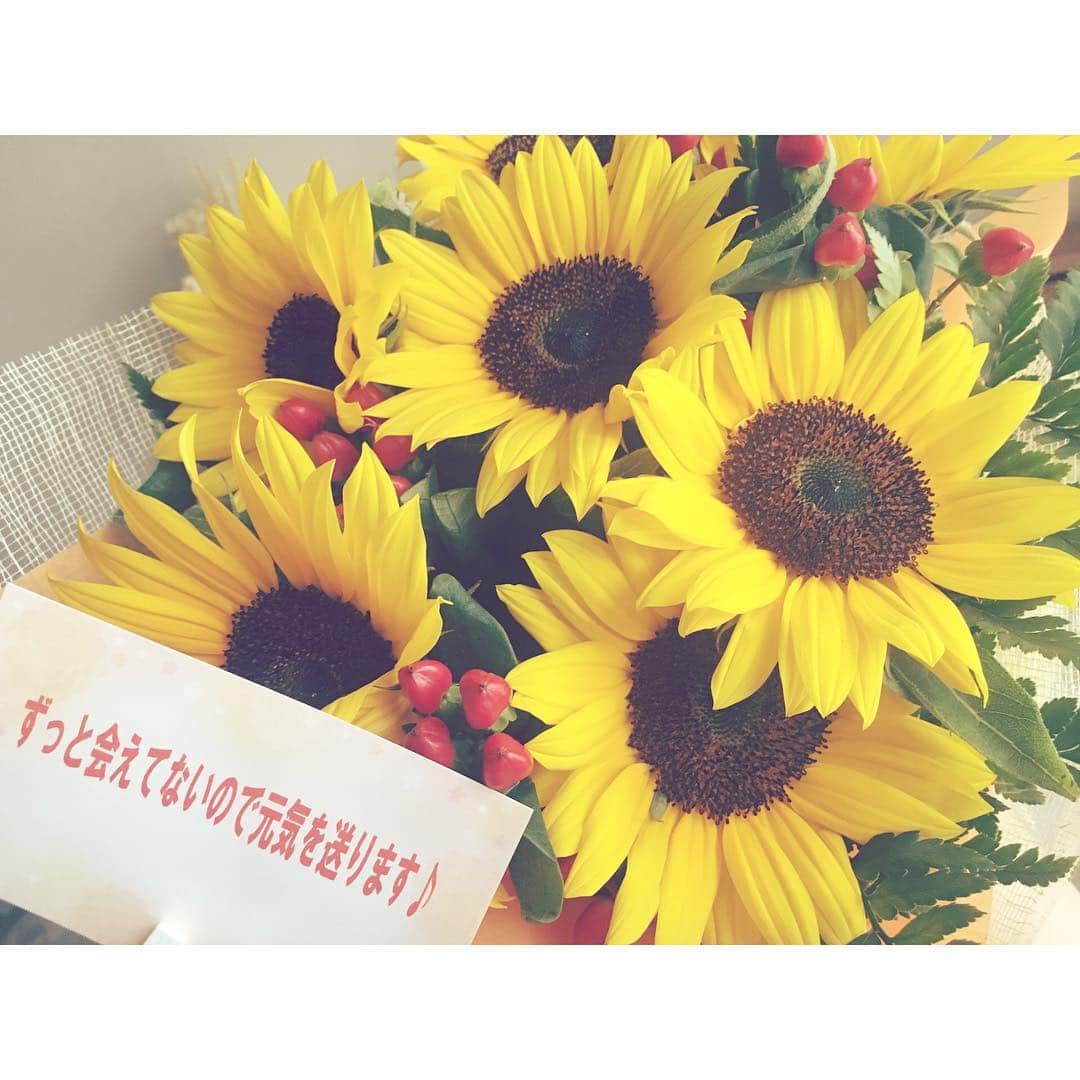 古谷有美さんのインスタグラム写真 - (古谷有美Instagram)「泣けるー！というか泣いたー！ 遠くにいる友人から突然の贈り物💦 ほんとうにほんとうにありがとう。  Surprise gift from my loving hunni.  You made my day @yukka526  #ありがとう #youmademyday #sunflowers」5月9日 10時44分 - yuumifuruya