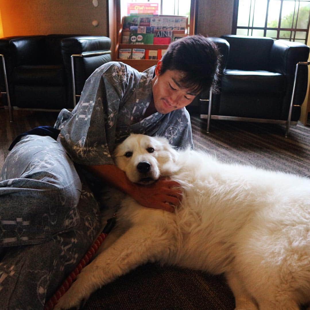 都倉賢のインスタグラム：「『ふる川』の看板犬のモコちゃん🐕 めちゃくちゃ大きいのに、自分の事小っちゃいと思って、めっちゃなついてきた…笑 また会いに行くからね〜〜 #愛しのモコちゃん」