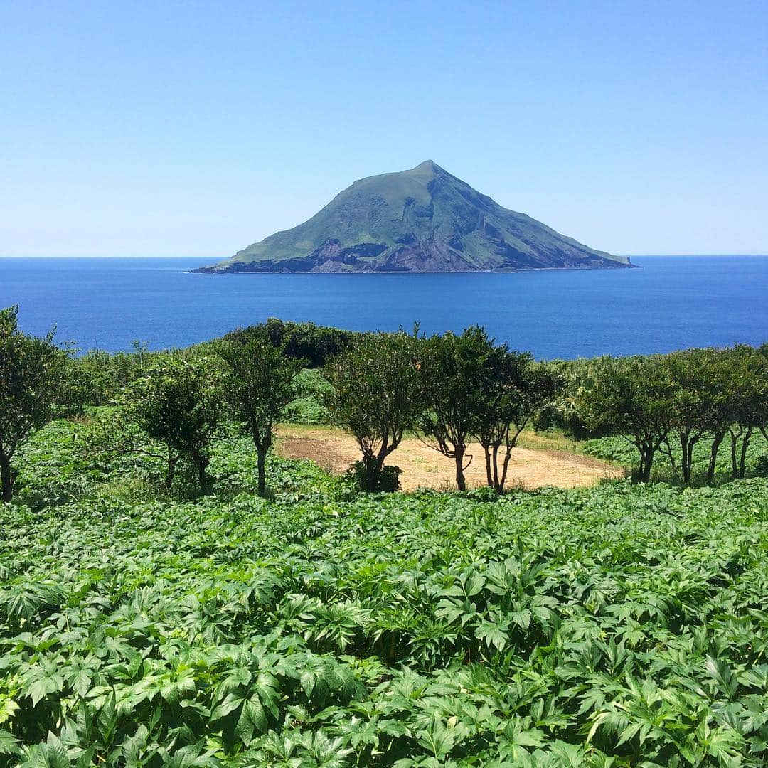 田中律子さんのインスタグラム写真 - (田中律子Instagram)「朝一の便で八丈島ロケ！！ 快晴のロケ日和です💕夏日だよ。  #八丈島 #撮影日和  #明日葉」5月13日 12時19分 - ri2kotanaka