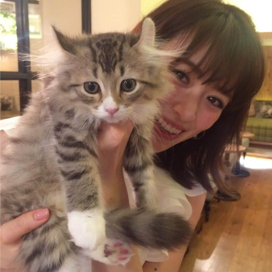 泉里香さんのインスタグラム写真 - (泉里香Instagram)「#にゃんすたぐらむ #アメリカンカール だって😻💗」5月14日 19時31分 - rika_izumi_