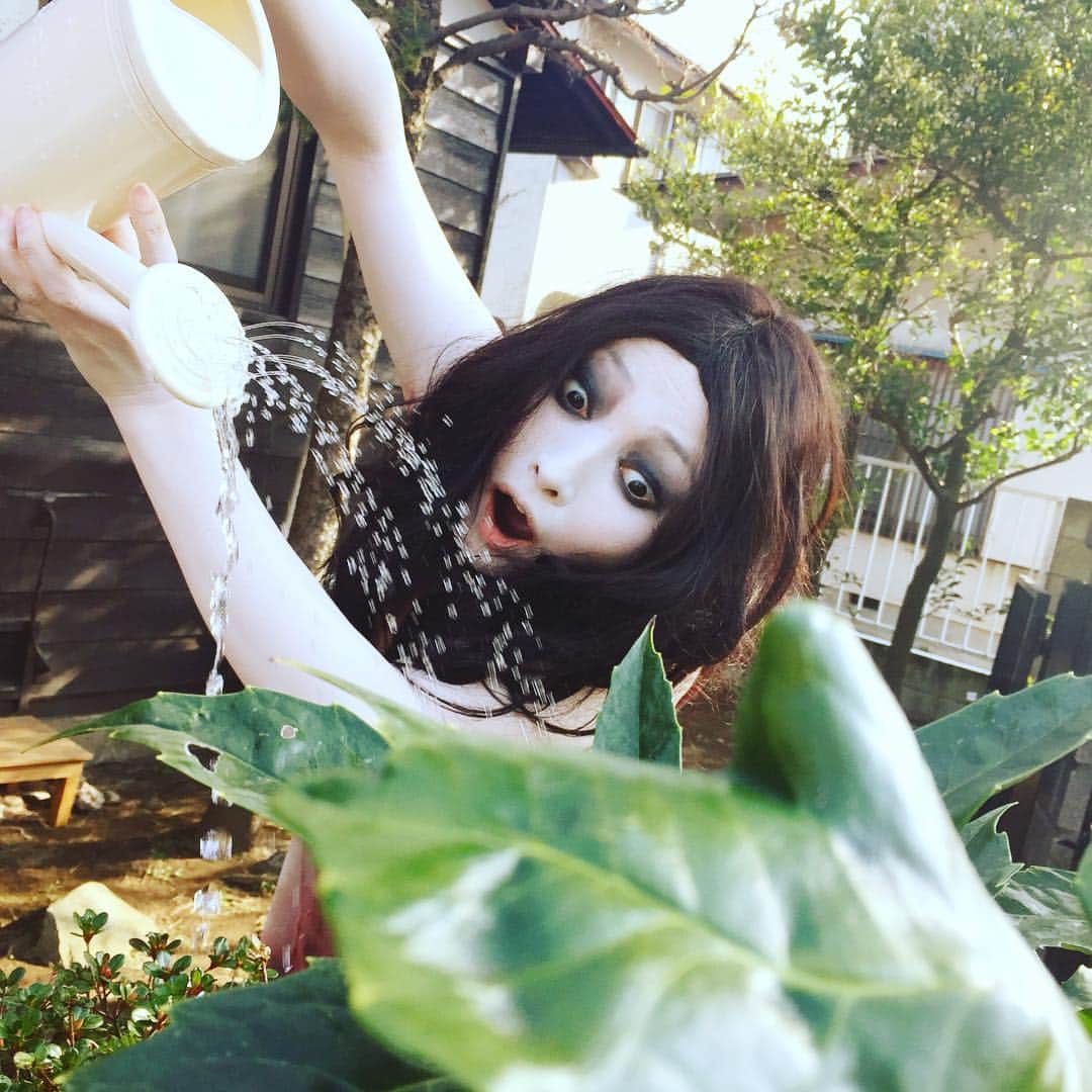 伽椰子と俊雄のほのぼの親子日記のインスタグラム：「あ゛あ゛あ゛あ゛あ゛（大きくなーれ）  #ガーデニングの季節 #あ゛あ゛あ゛あ゛あ゛ #ニャー　#さだかや」
