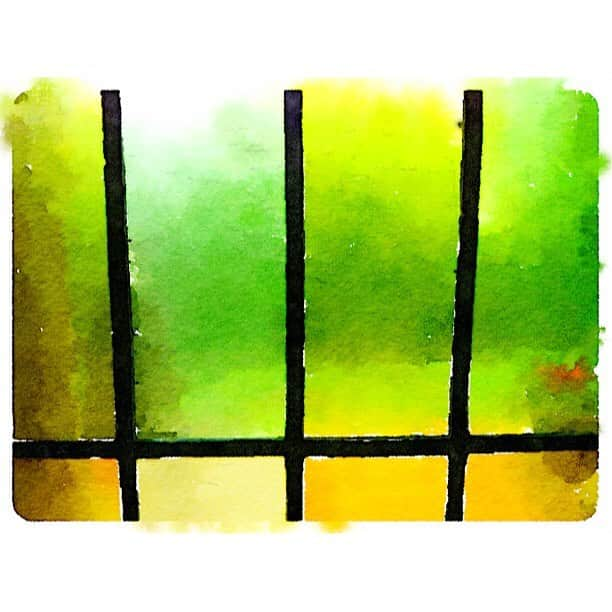 成毛眞のインスタグラム：「green thru old stained glass」