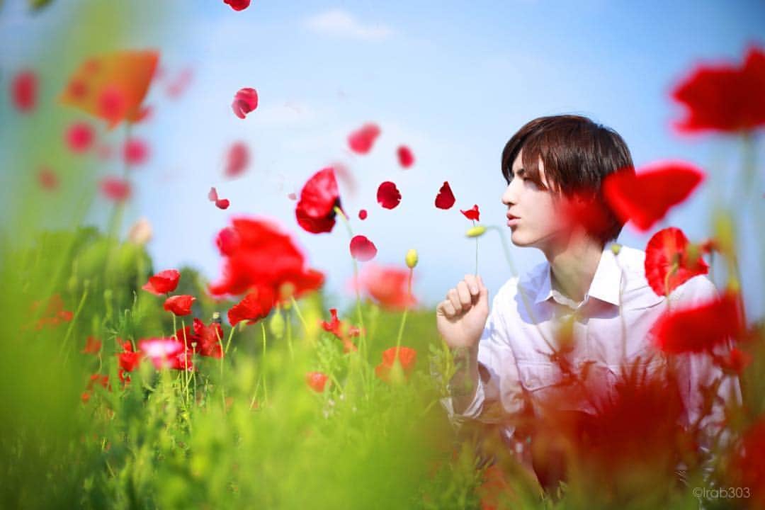 田川大樹のインスタグラム：「Blowing a dream  #wanderlust #flowers #today #prince #me #dream #ポピー #ポートレート　#田川大樹」