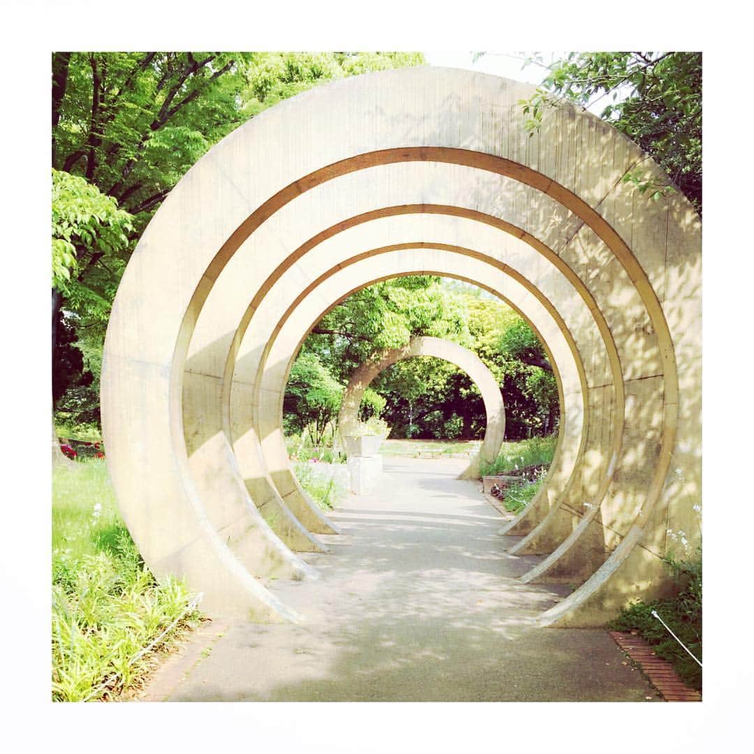 松雪泰子さんのインスタグラム写真 - (松雪泰子Instagram)「ある時間…🌱 光キレイ #お散歩」5月16日 18時05分 - yasukomatsuyuki_official