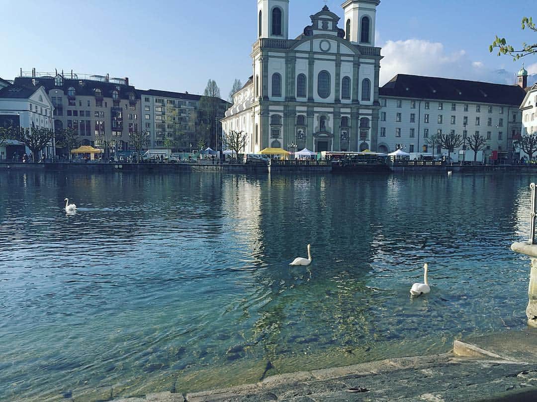 西山真以さんのインスタグラム写真 - (西山真以Instagram)「Morning of Lucerne. #switzerland #swiss #lucerne #travel #morning #reuss #river」5月20日 8時56分 - mai0830