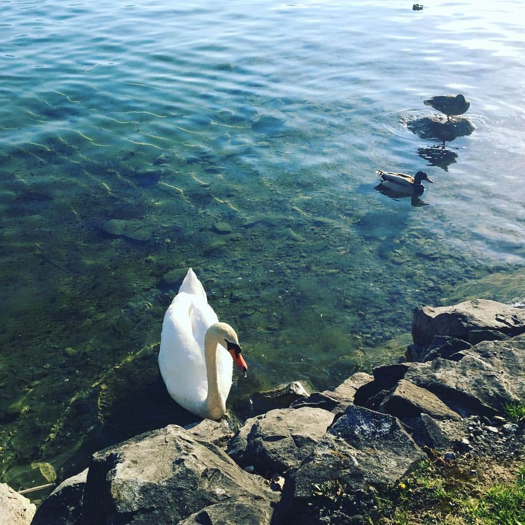 西山真以のインスタグラム