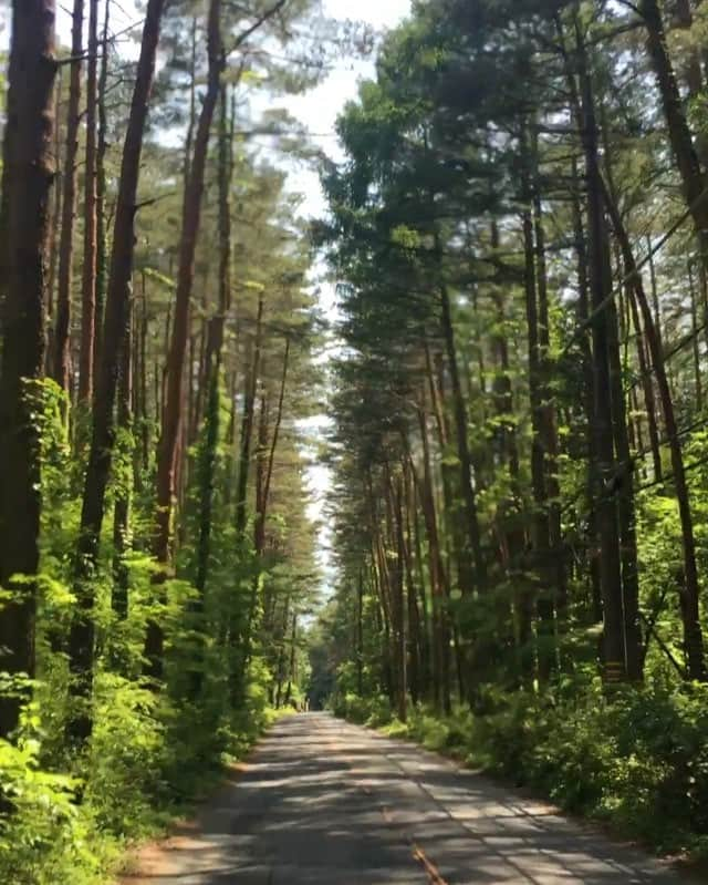 城田理加のインスタグラム：「🌿🌳🌿🌳🌿🌳 #green #natural #fresh #air」