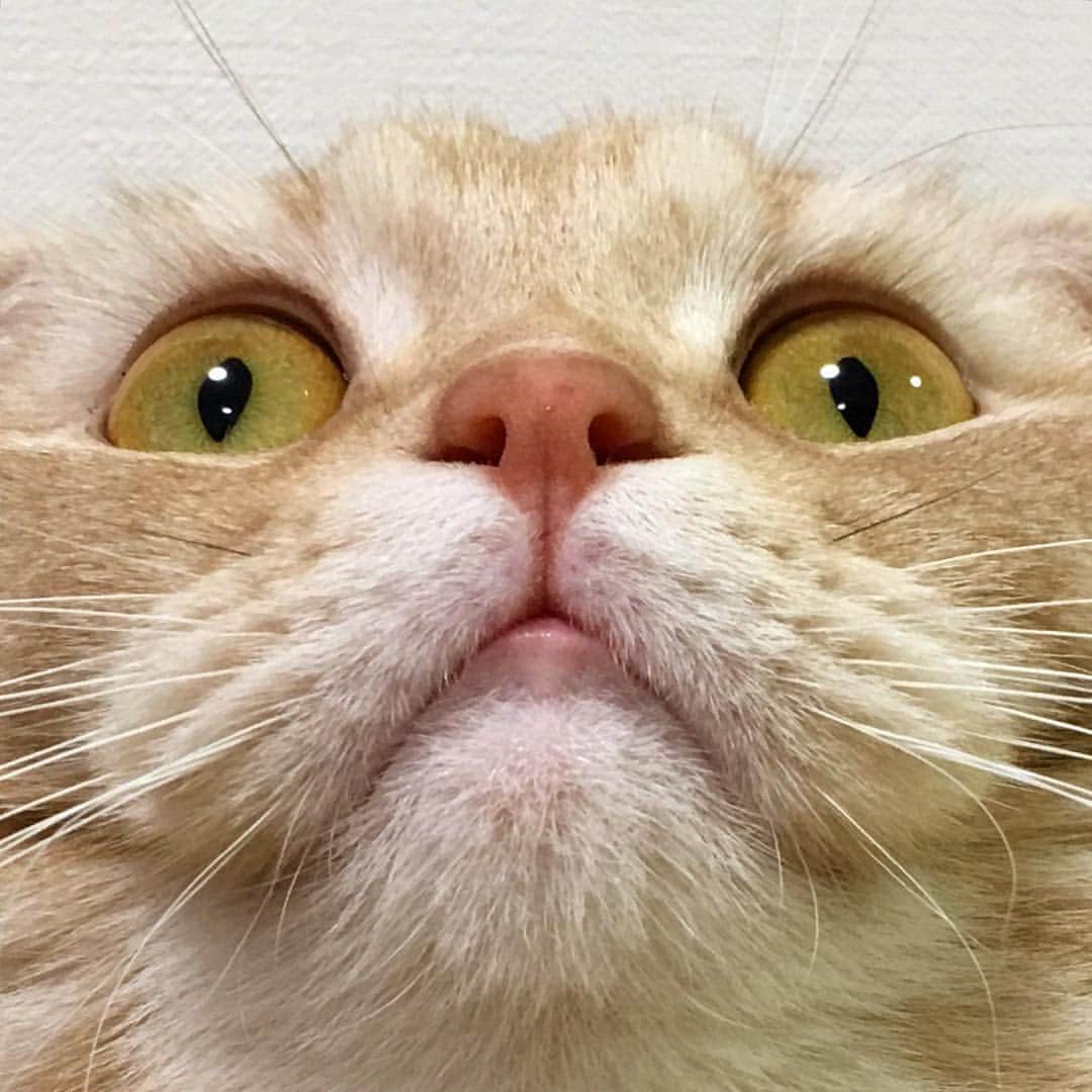 金太のインスタグラム