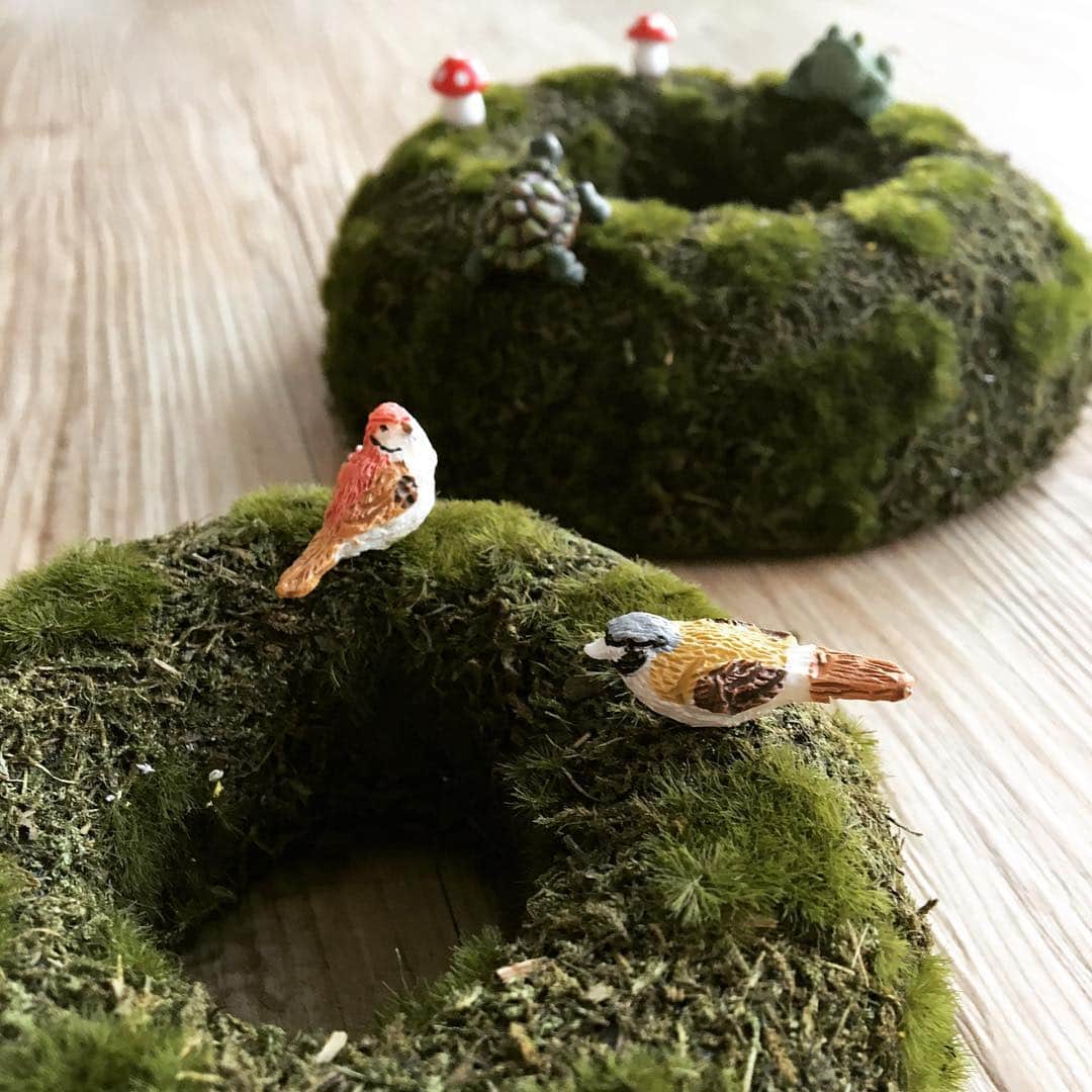 Cando キャンドゥさんのインスタグラム写真 Cando キャンドゥinstagram 動物たちの話し声が聞こえそうな 小さな小さな癒し空間 モスリース 大 小 ミニチュア バード 2p キノコ 3p カエル カメ キャンドゥ Cando 100均 雑貨 ミニチュア モス