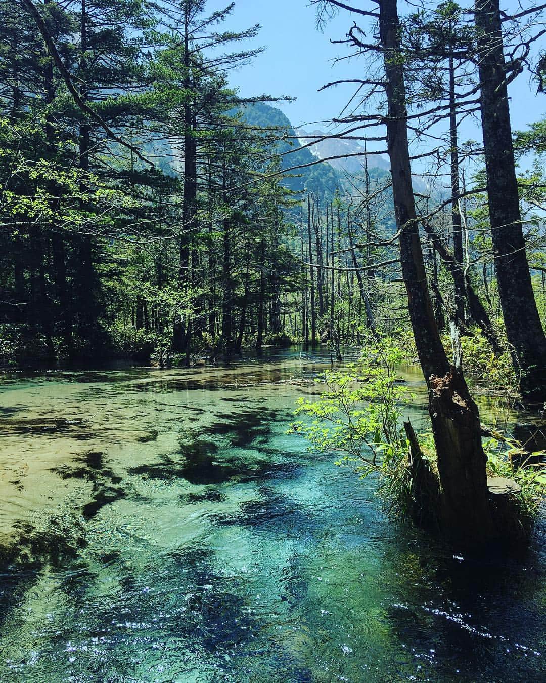 エリイ のインスタグラム：「#上高地 こんなに美しい大自然は日本で出会った中で、一番かもしれない。 白い雪が残る山とかなり冷たい川。」