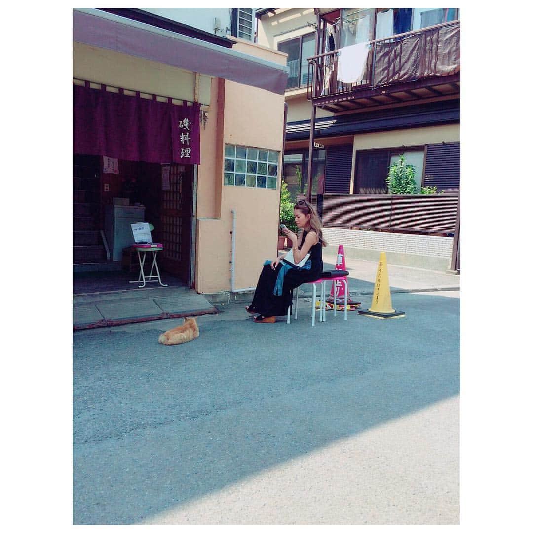 田母神智子さんのインスタグラム写真 - (田母神智子Instagram)「江ノ島でシラス丼食べたんだけど、すごく美味しかった🙊生シラスって美味しい❤️」5月24日 12時19分 - tomokotamogami