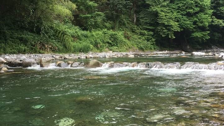 百瀬俊介のインスタグラム：「It was forest🌳🌲🌳🌲🌳🌲 I am healed by majestic nature💯💯💯 朝から奥多摩へ🚙🚣🎣 森林浴を楽しみながら川の音に癒されました🐿🐟🐞🐜🐝😌 東京なのにここは自然に囲まれた別世界！ 個人的なパワースポットです✨👍🏼✨👍🏼✨👍🏼 #earth #forest #nature #river #woods #relax #power #spot #奥多摩 #東京 #森林浴 #癒し #川遊び#魚釣り #水冷たい #綺麗 #マイナスイオン #自然 #休憩 #パワースポット」