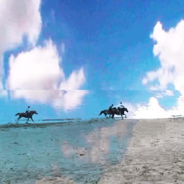 中井ノエミのインスタグラム：「🌈riding the sky🐎🐎🐎🌈 #breathefreedom #生き返った #nohorizon #travel #foreveryoung #sky #trek #wandelust #horses #freedom #joinus #uyuni #bluesky #horseriding #freedom #inhalb #travelling #riders #getaway #horizon #horseracing」