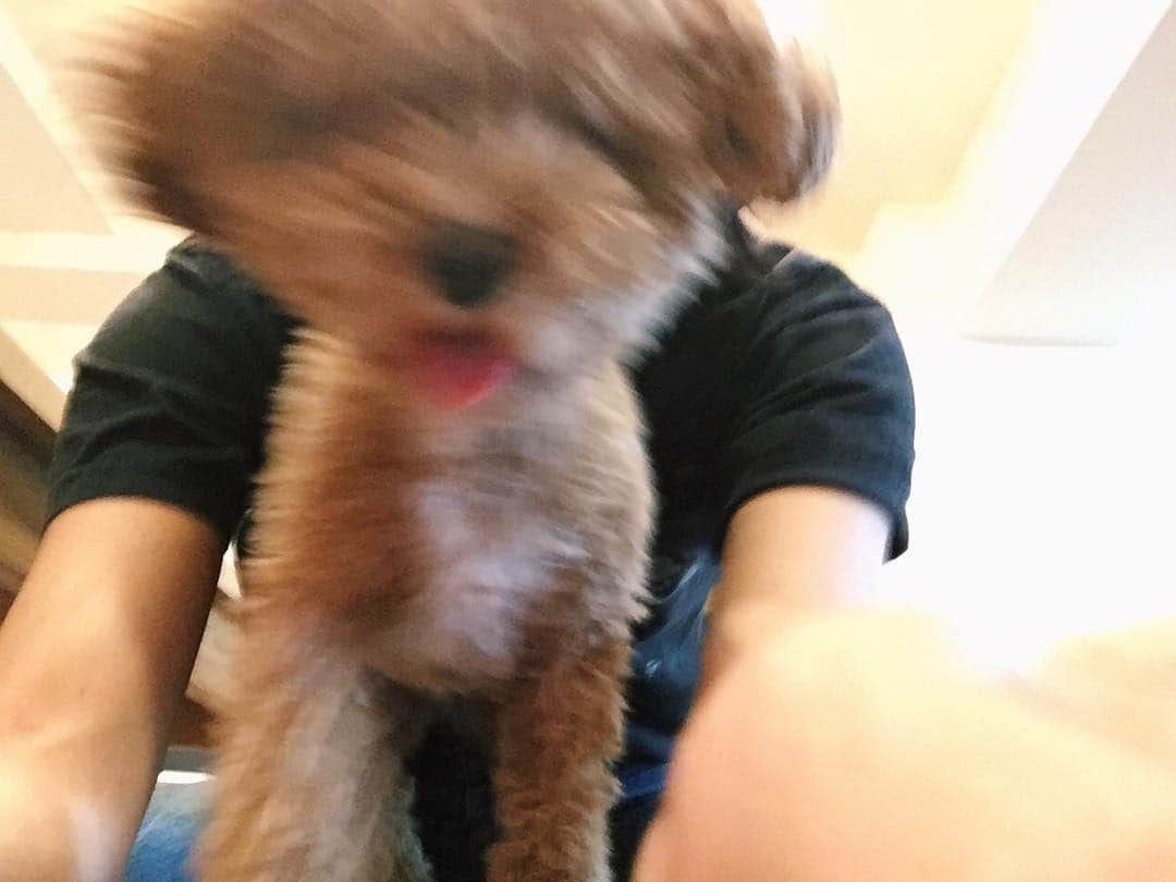 のインスタグラム：「やんちゃすぎて止まらないチューバッカ感。」