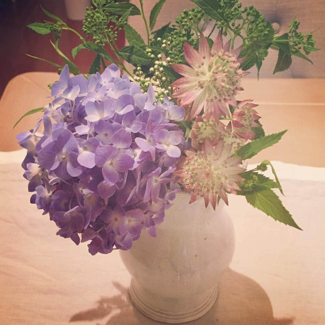 桐谷美玲さんのインスタグラム写真 - (桐谷美玲Instagram)「雨の日。紫陽花見つけて買って帰ってきた。 #紫陽花#rainy」5月30日 19時47分 - mirei_kiritani_