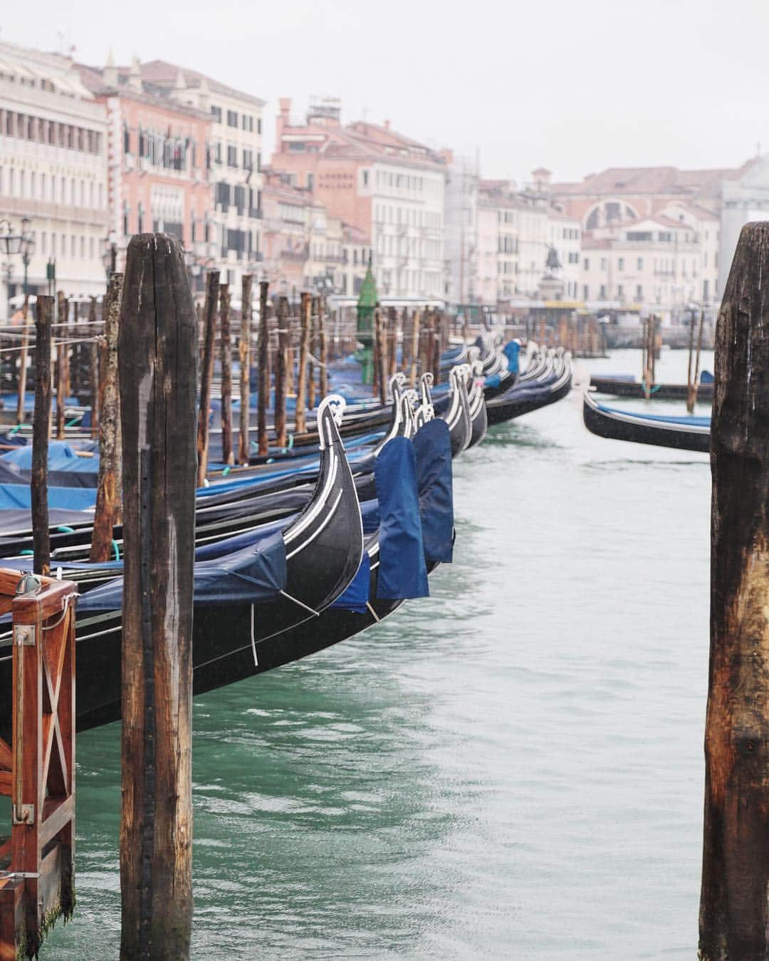 のインスタグラム：「Me and Venice.. A relationship based on the rain... #venezia #venice #shootingcolors #vsco #canon_photos #thebestdestinations #beautifuldestinations #wonderful_places #BestVacations #europe_vacations #TopEuropePhoto #living_europe #unlimited_europe #ig_worldclub #ig_europe #igworldclub #world_lenz #exploretocreate #livefolktakeover #uniteddivision #theIMAGED #justLiving2016 #loves_united_life #italy_vacations #ig_italia #through_italy #italiainunoscatto #italy_ig #liveloveitaly」