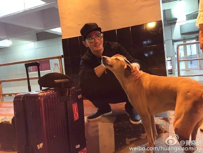 黄暁明のインスタグラム：「Come across a homeless dog while waiting my car in an Indian airport. Eager to take it home, ‘cause it’s been rubbing back and forth’. Everything has a soul and what an incredible encounter it was!」