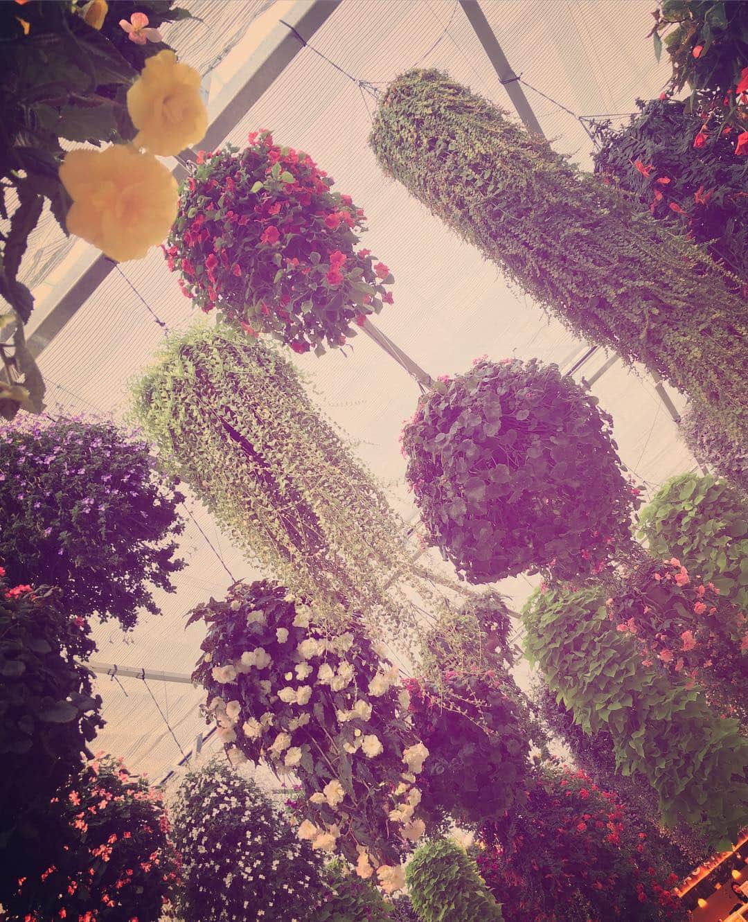 岡崎和寛さんのインスタグラム (岡崎和寛kazuhiro_okazaki)