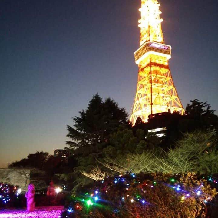 のインスタグラム：「【東京プリンスホテルの想い出】 ブッフェレストラン ポルトからの景色。  #reborn_tph  #東京プリンスホテル #tokyoprincehotel #東プリ#想い出 #ポルト#ブッフェ#レストラン #東京タワー#tokyotower #イルミネーション#景色」
