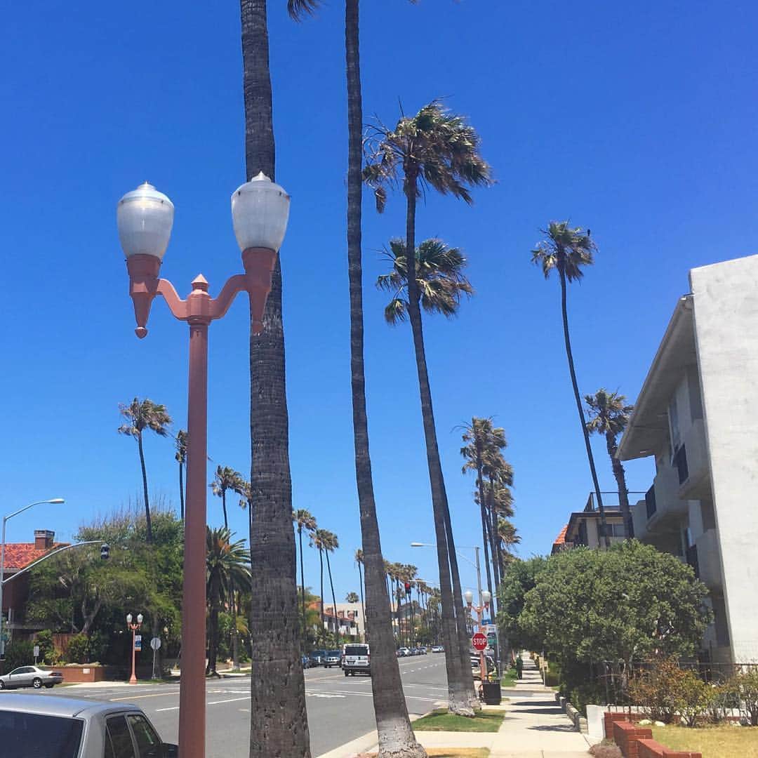 吉田沙織のインスタグラム：「Back to CA !!」