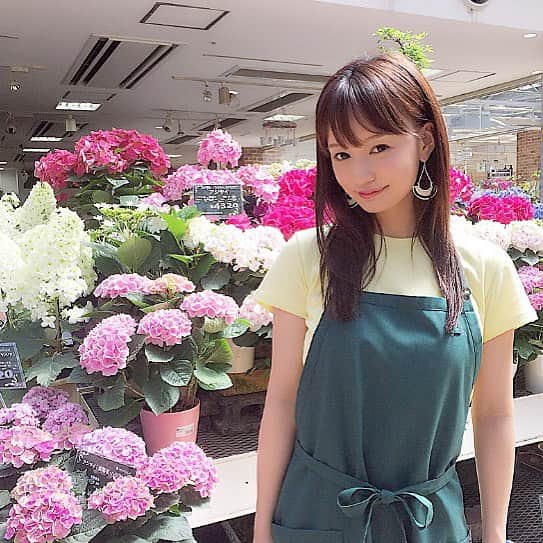 渡部麻衣のインスタグラム
