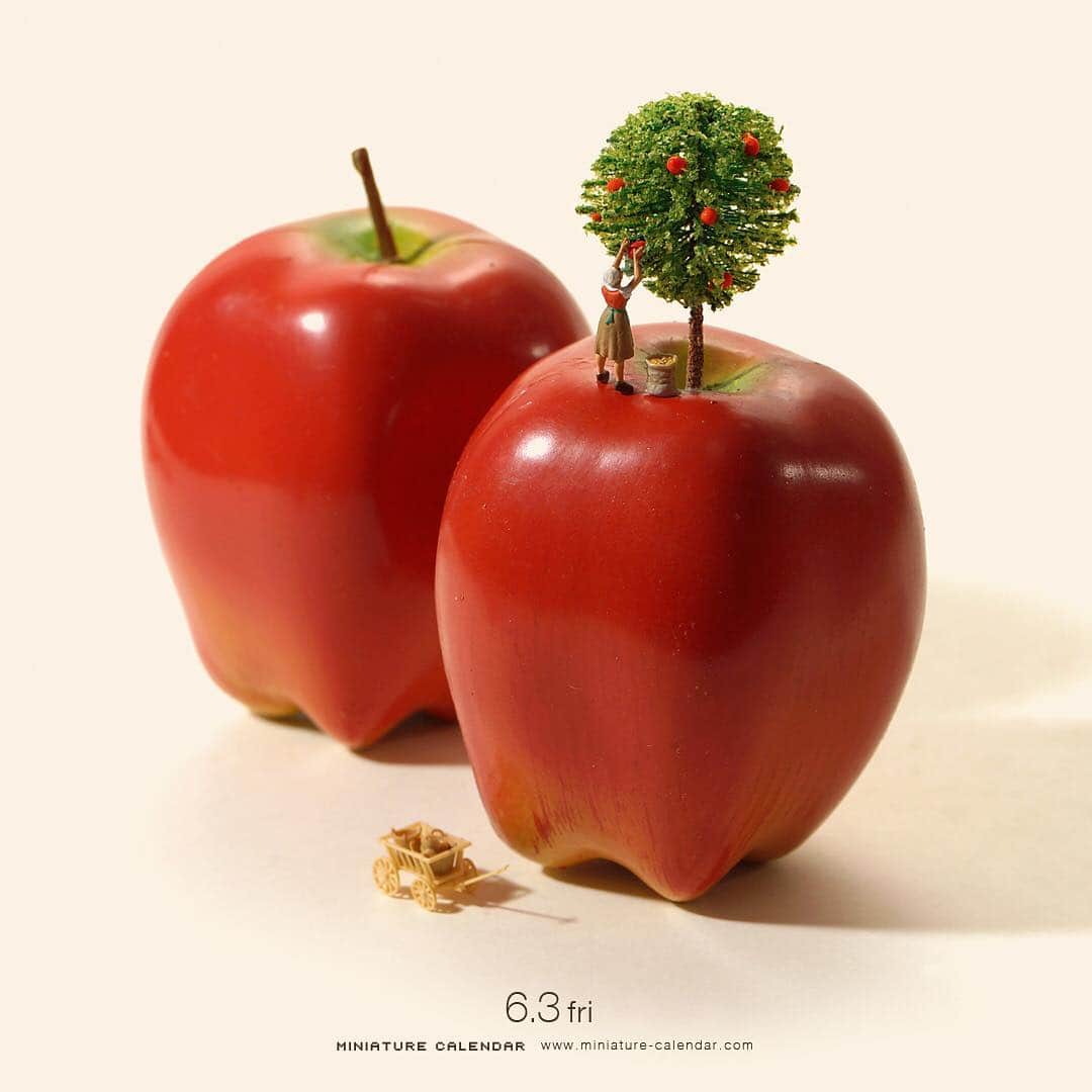 田中達也さんのインスタグラム写真 - (田中達也Instagram)「. 6.3 fri “Apple Tree" . ヘタに手を抜けない。 . . #林檎 #へた #Apple」6月3日 10時19分 - tanaka_tatsuya