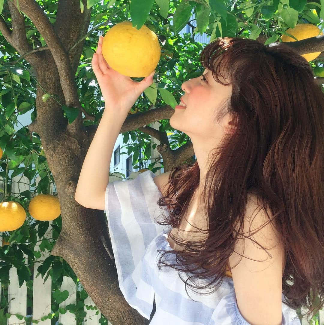 久慈暁子さんのインスタグラム写真 - (久慈暁子Instagram)「* 🍊🍋🍯🐝🌞 * #nonno #撮影 #shooting」6月3日 21時30分 - kuji_akiko