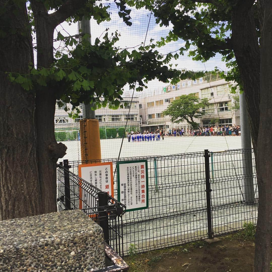 鈴木志遠さんのインスタグラム写真 - (鈴木志遠Instagram)「トッカーノ対バディ」6月5日 16時06分 - shion10531