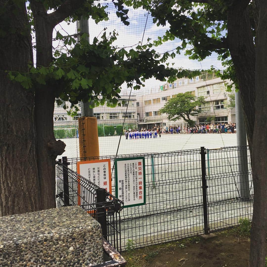 のインスタグラム：「トッカーノ対バディ」