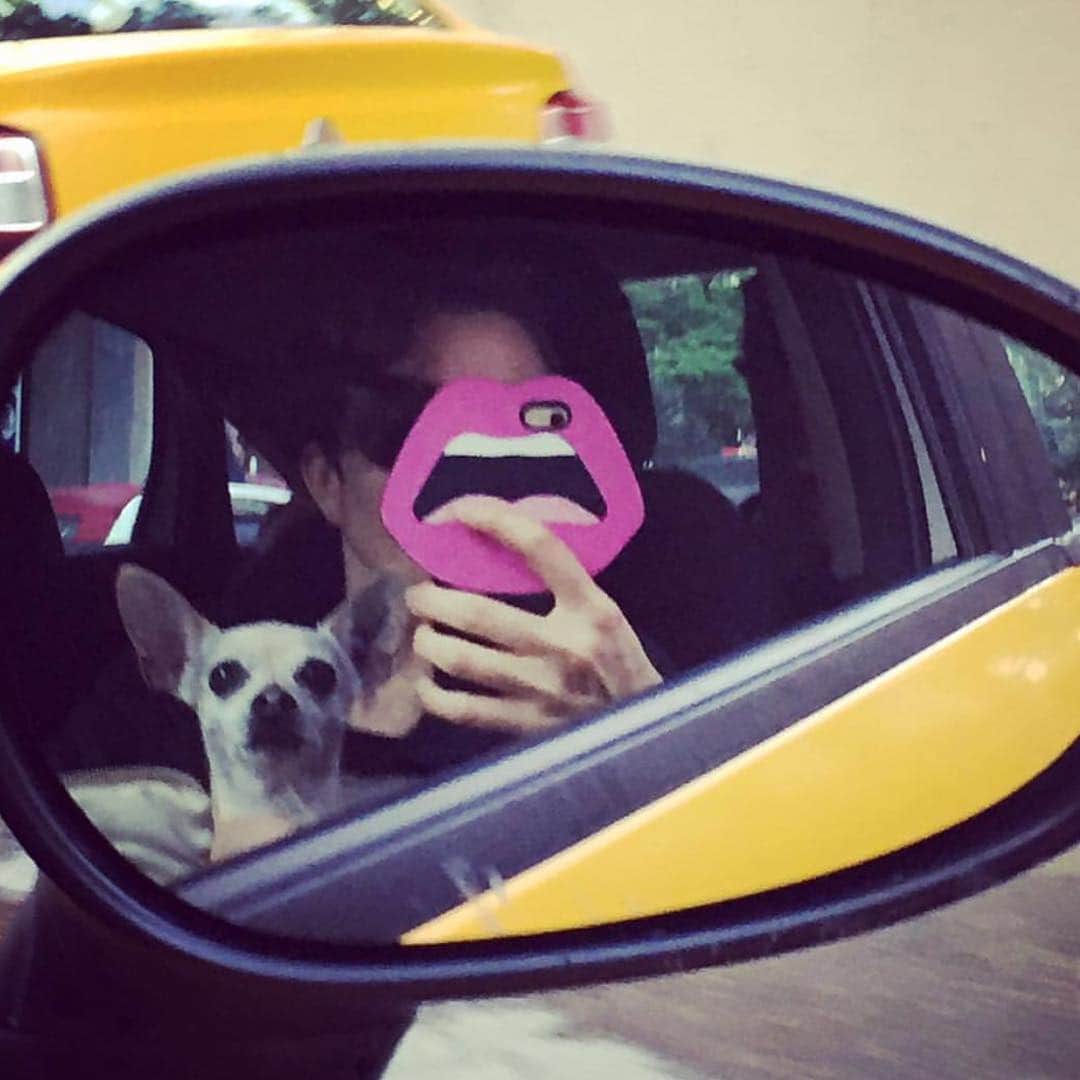 ケースシナリオのインスタグラム：「Monday run! 🚕🚕🚕🚕🚕 taxi take us to work !!! 👄 #regram @emelkurhan with our #yazbukey #lips #iphone6 #collectible #case」