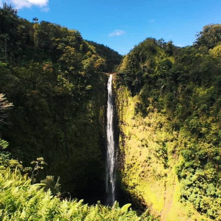 Cole Riseのインスタグラム：「put together a little behind the scenes video of the national parks in Maui & Hawaii Island - volcanos, helicopters, and sea turtles, oh my. find the full video link in the profile. @gohawaii」