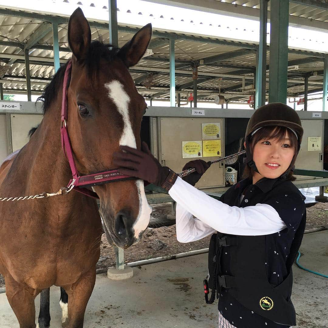 松中みなみさんのインスタグラム写真 - (松中みなみInstagram)「今朝もクレイン東京で乗馬レッスン！🏇🌟 いつもよりエースがシャープに見える😳 デトックスした？w  #乗馬 #乗馬クラブ #クレイン東京 #クレイン #clain #horse #horseback #horsebackriding #🐴 #🏇 #エース #ace #馬」6月8日 11時08分 - minami_matsunaka