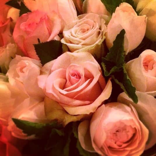 礒部花凜のインスタグラム：「#beautiful #flowers」