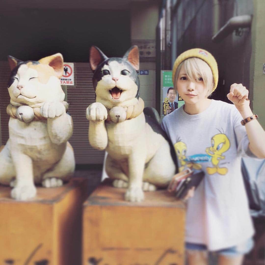 篠崎こころのインスタグラム：「何匹目までが猫でしょう」