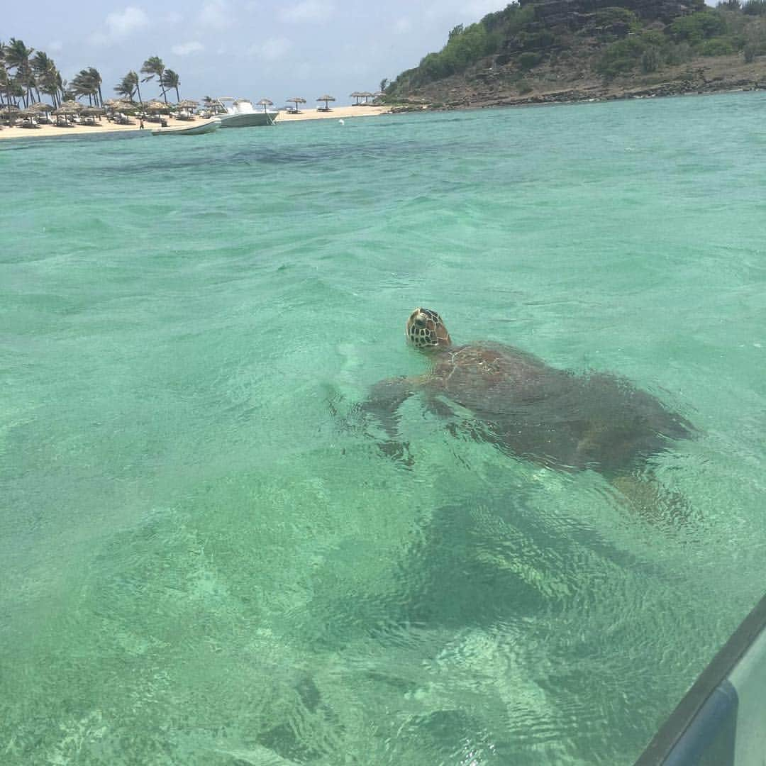 ジェームズ・トムキンスのインスタグラム