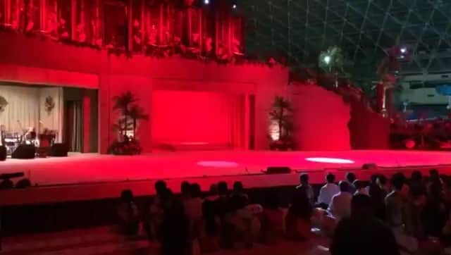 瀧本美織のインスタグラム：「フラガール🌺と犬のチョコ🐶my solo dance. #フラガール #dance」