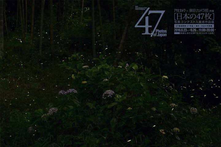 Atsushi Aizawaのインスタグラム：「ホタル」