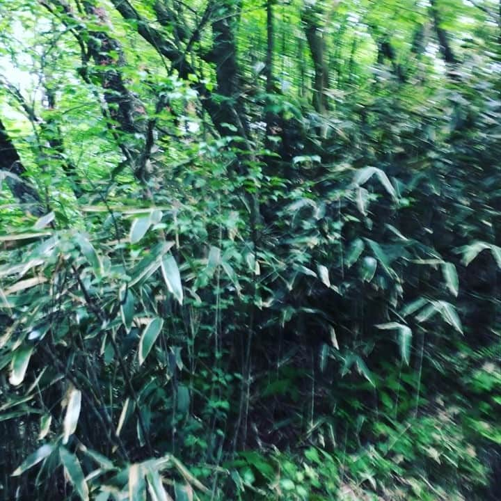 TOMOのインスタグラム：「⋆ 初トレッキングで⛰🚶🏻🎶 箱根の#金時山 へ… #頂上 に着いた時の達成感✨ クセになりそう😁👍笑💕 ⋆ #雨降らなくてよかった…  #でも富士山きれいに見られなかったのが残念 #リベンジしたいな #早くまたトレッキングしたいな #次はどの山に行こうかな😍 #たっぷり汗をかいて心も体もスッキリ #季節を楽しもう #日本で大自然を満喫 #自然がくれるパワーってスゴイ #sun_sky_nature」