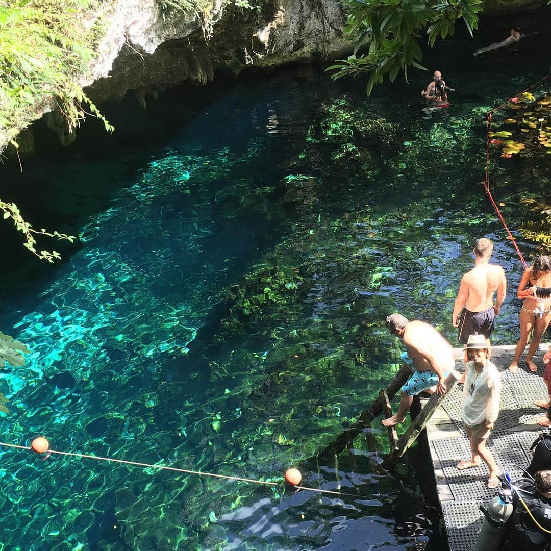 久保田智子のインスタグラム：「#nofilter #セノーテ #絶景 #カンクン #cancun #tulum #cenote #grandcenote #mexico」