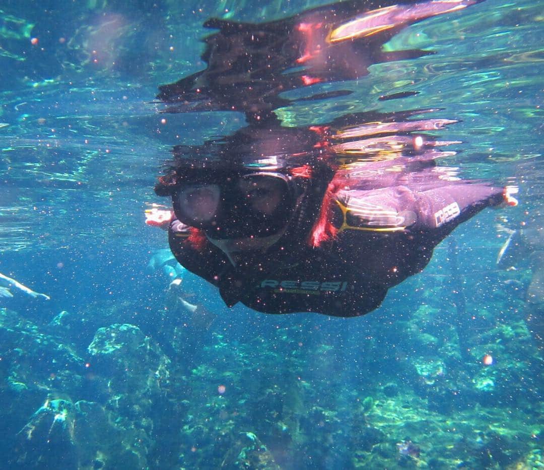 久保田智子のインスタグラム：「出発。#nofilter #cenote #grandcenote #tulum #mexico #セノーテ #絶景 #グランドセノーテ #メキシコ #シュノーケリング」