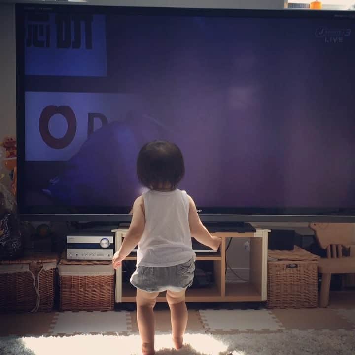 加織のインスタグラム：「パパだいすきむすめさんは、TVにパパが映るとパパーと叫びながら大興奮でかけ寄り、画面にちゅーちゅーします💋💋💋 こりゃパパたまらんな❤️」