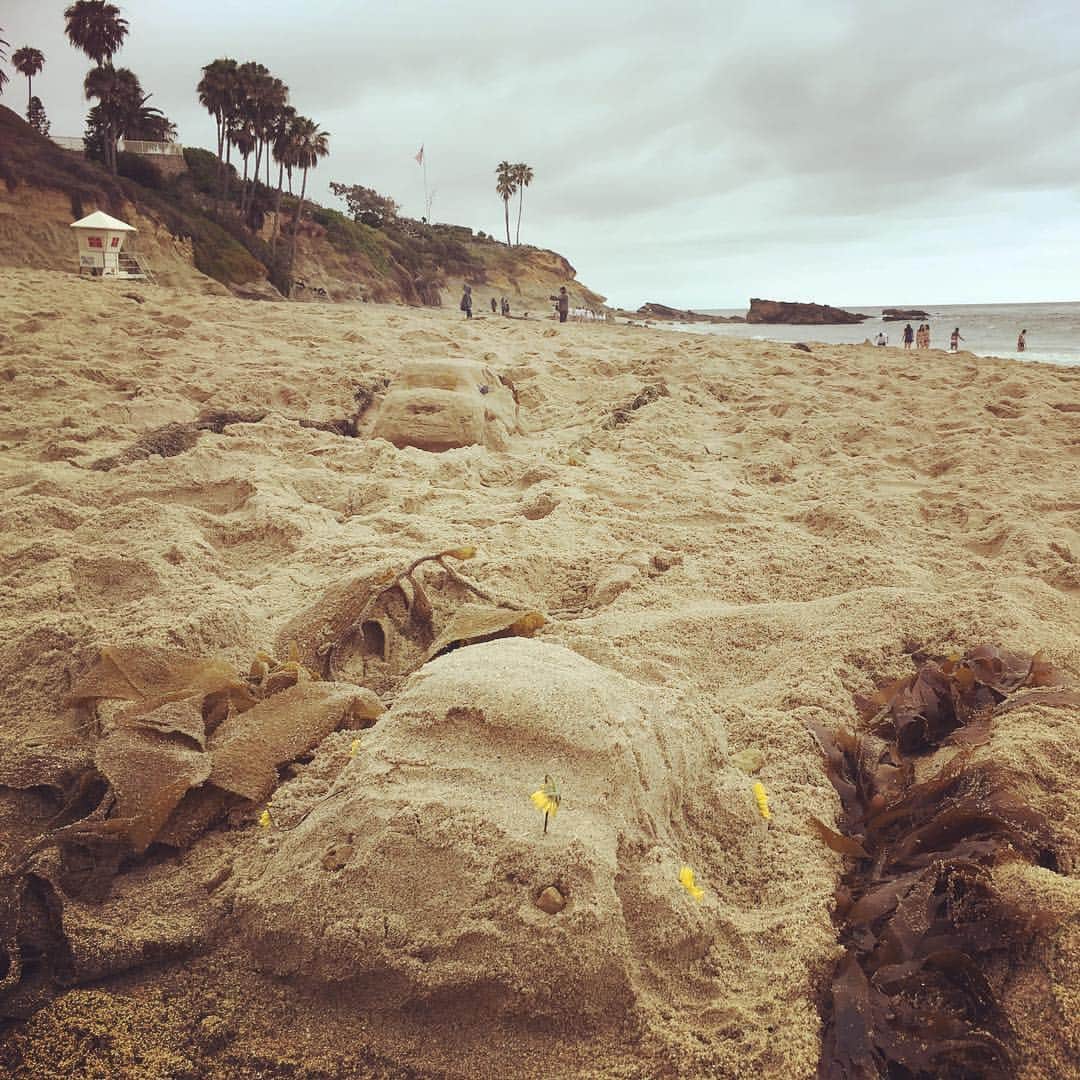 吉田沙織のインスタグラム：「OC.  It was cloudy but the car has little happy yellow flowers :) #orangecounty #OC #えあのドラマの#そうあのおーしーのとこ#これだけじゃ分からぬ」