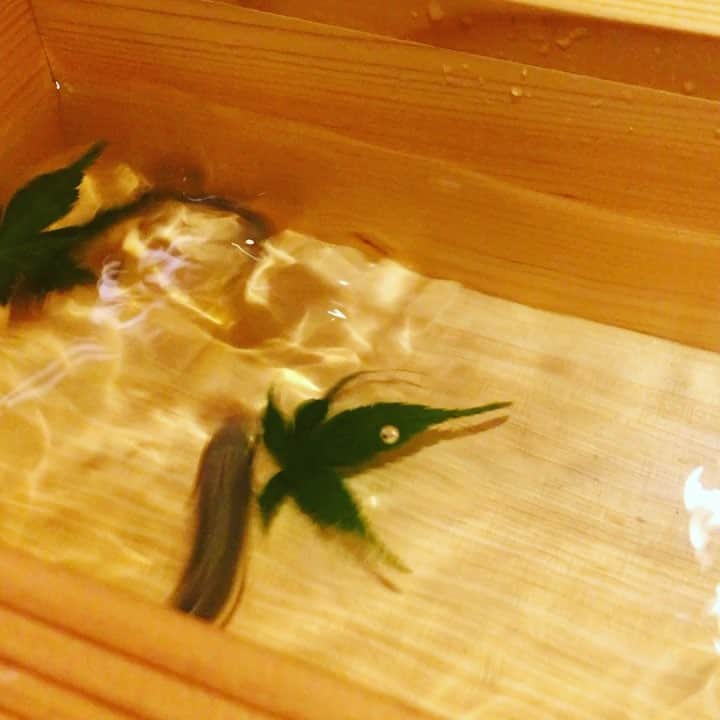 堀江貴文のグルメインスタ