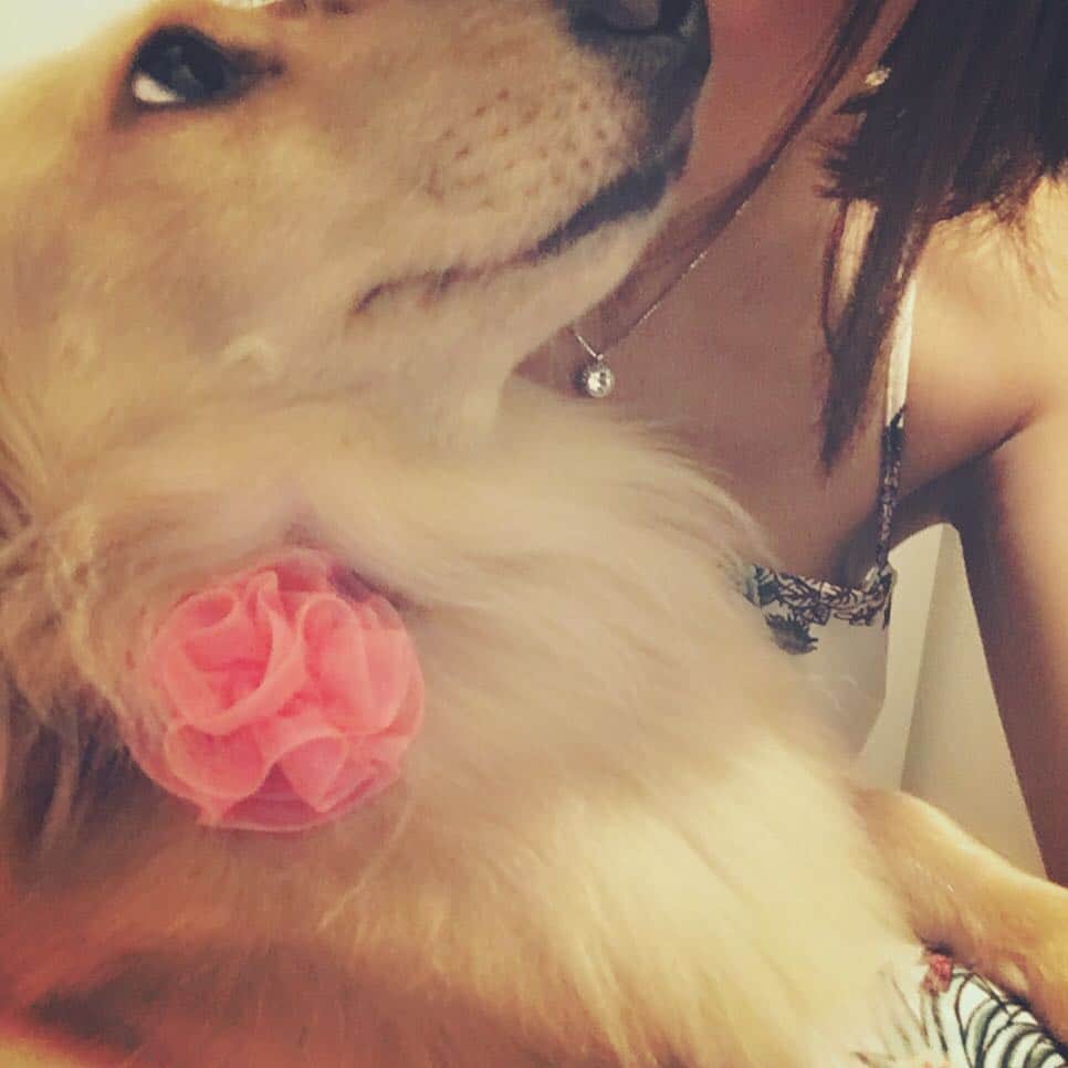 星野ナミのインスタグラム：「お休みなさい🌹💋」