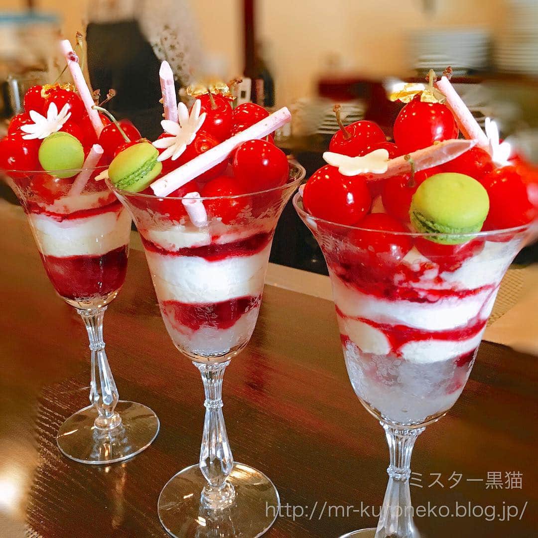 ミスター黒猫（黒猫仙人）のグルメインスタ