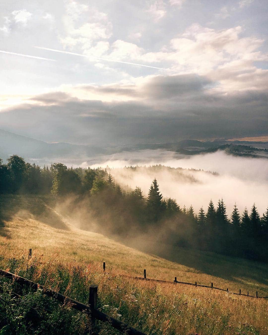 Anna Derzhanovskayaのインスタグラム：「Heaven and earth collide // #bukovel_instacamp_summer」