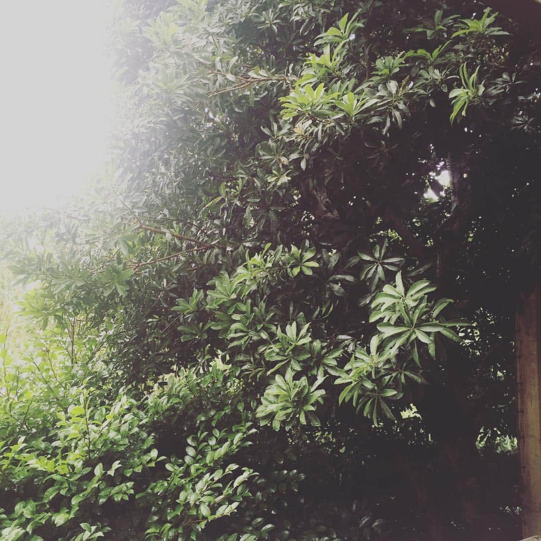 Mayuのグルメインスタ