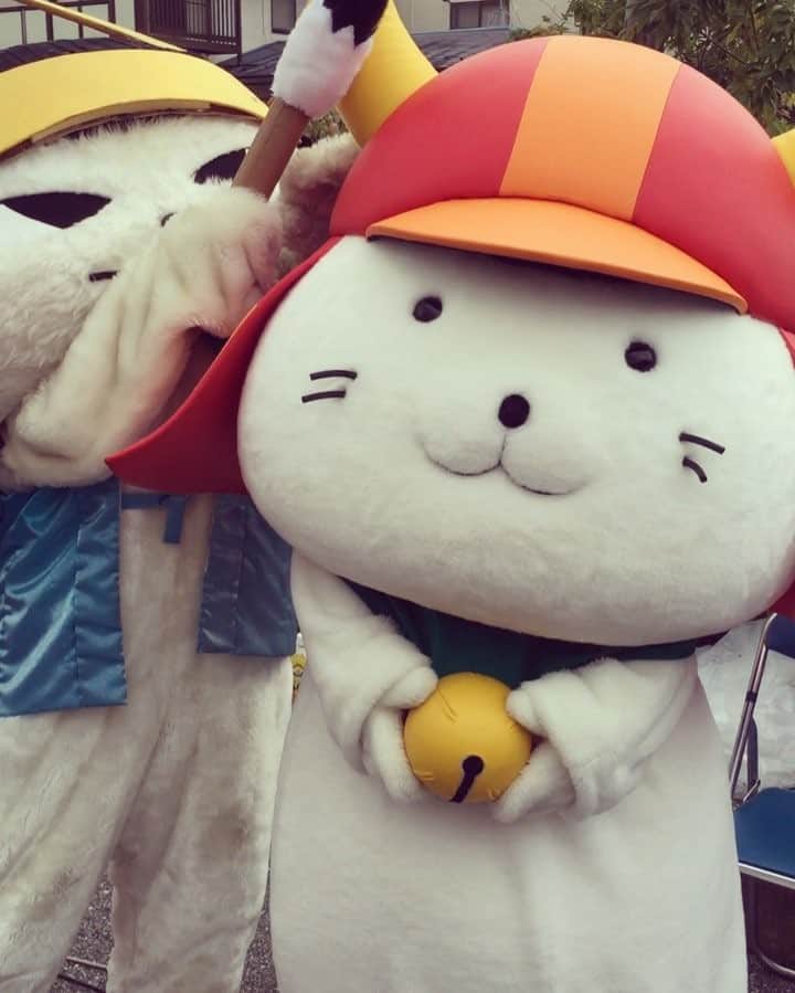 niconico infoのインスタグラム