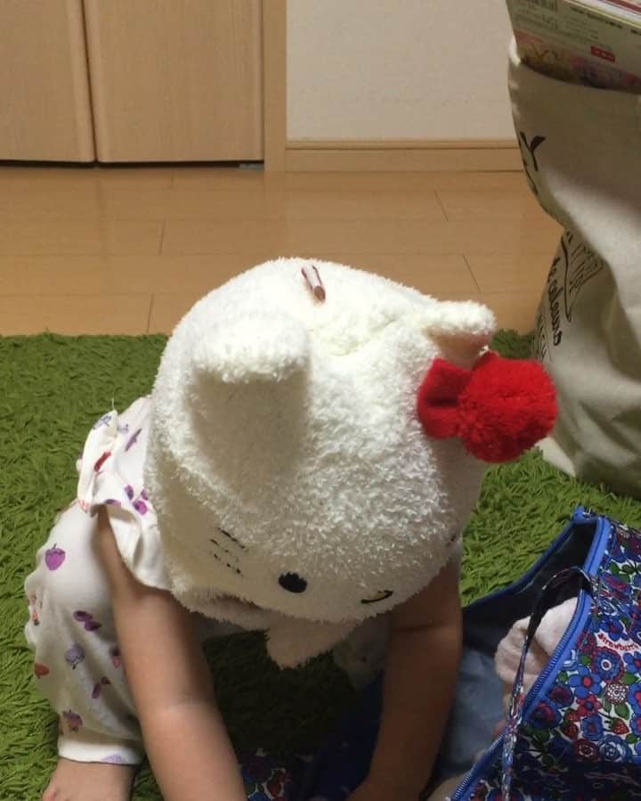 くんちゃんのインスタグラム