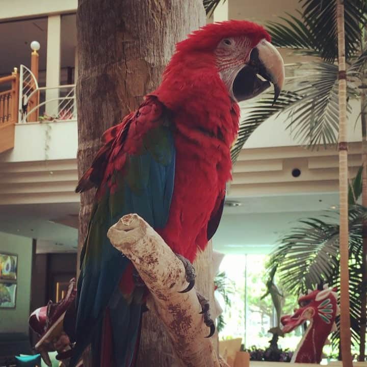 夏菜のグルメインスタ